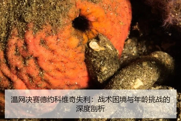 wen-wang-jue-sai-de-yue-ke-wei-qi-shi-li-zhan-shu-kun-jing-yu-nian-ling-tiao-zhan-de-shen-du-pou-xi-3-548.jpg